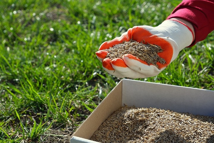 fertilizator
